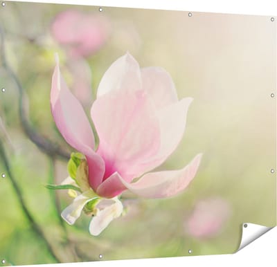Gards Tuinposter Roze Magnolia Bloem - 150x120 cm - Tuindoek - Tuindecoratie - Wanddecoratie buiten - Tuinschilderij