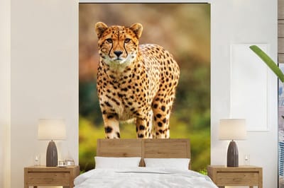 Behang - Fotobehang Wilde dieren - Gras - Luipaard - Natuur - Breedte 180 cm x hoogte 280 cm