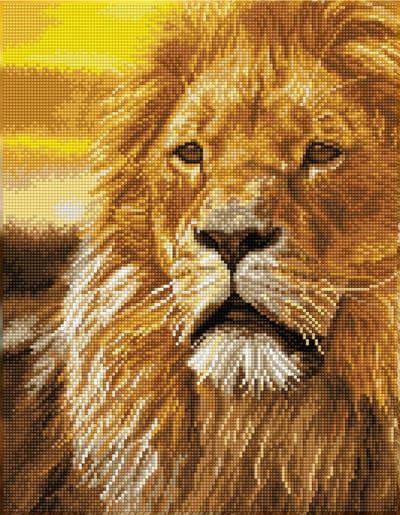 DQK9.002 Diamond Dotz® - Hobby Pakket - Diamond painting volwassenen - Diamond painting met lijst - Machtige leeuw 45 x 35cm - Vierkante steentjes - Diamond painting pakket volledig