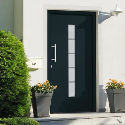 vidaXL - Voordeur - 110x210 - cm - aluminium - en - PVC - antraciet