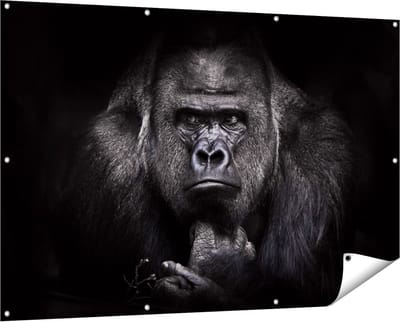 Gards Tuinposter Gorilla - Zwart Wit - 150x100 cm - Tuindoek - Tuindecoratie - Wanddecoratie buiten - Tuinschilderij