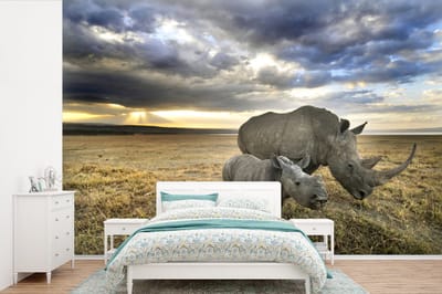 Behang - Fotobehang Neushoorn - Kalf - Dieren - Breedte 420 cm x hoogte 280 cm