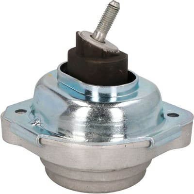 Motorsteun REINHOCH RH11-3069