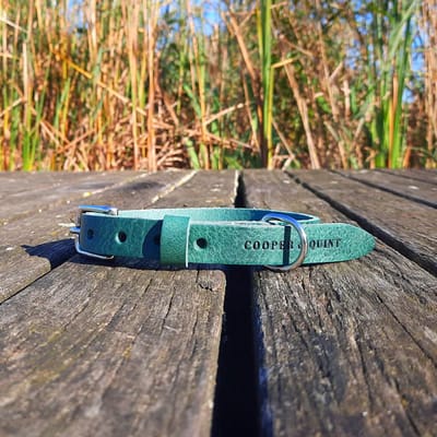 Cooper & Quint No Fuss - Halsband Hond - Leren Halsband Hond - Groen - Zilver - XS