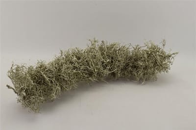 Dbt Guirlande-Krans Hout-Bonsai Platina D 75 cm