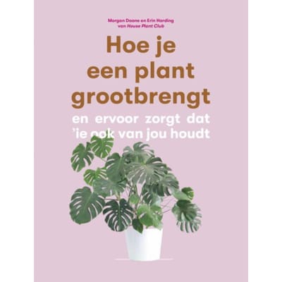 Hoe Je Een Plant Grootbrengt - Morgan Doane