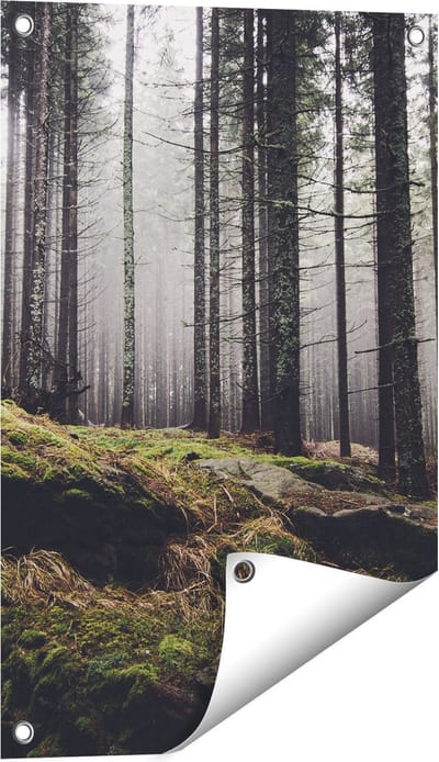 Gards Tuinposter Bos met Mos op Rotsen - 40x60 cm - Tuindoek - Tuindecoratie - Wanddecoratie buiten - Tuinschilderij