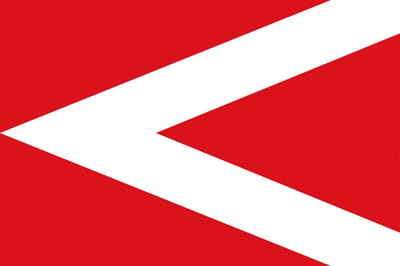 Vlag Anderlues 100x150cm