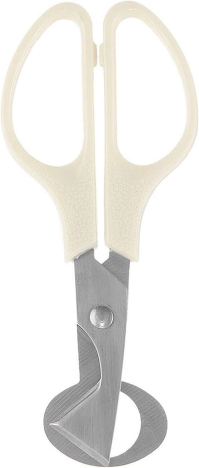 Eierschaar Edelstaal 14,5 cm - Ei Dop Breker - Snijder - Eiersnijder