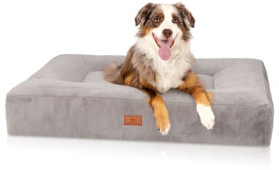 Knuffelwuff orthopedisch hondenbed met knuffelzacht imitatiekonijnenbont Midland 80x60 cm