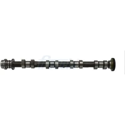 Nokkenas  FRECCIA CM05-2402