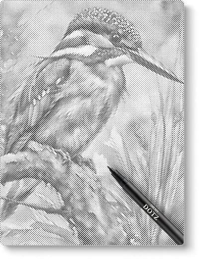 IJsvogel Close-up | Dot painting | 30x40cm | Dot painting | Oh My Dotz | Dots stippen | Diamond painting & Schilderen op nummer alternatief | Happy hobby
