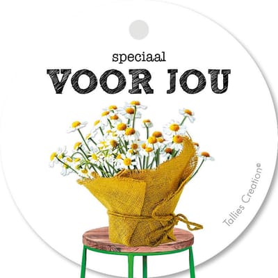 Tallies Cards - kadokaartjes  - bloemenkaartjes - Speciaal voor jou - Plant - set van 5 kaarten - valentijnskaart - valentijn  - moeder - mama - liefde - 100% Duurzaam