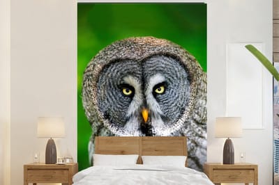 Behang - Fotobehang Vogel - Uil - Dieren - Bruin - Portret - Breedte 160 cm x hoogte 240 cm