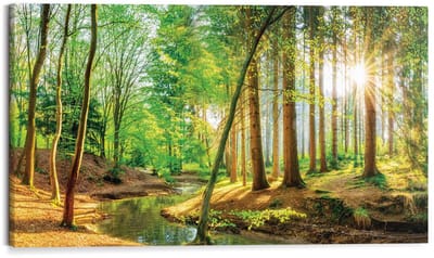 Schilderij Zonnig bos - 70 x 118 - Hout - REINDERS