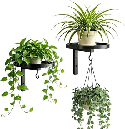 plantenstandaard, set van 2, plantenhouder, muur van metaal met haken, plantenstandaard, wandhouder, voor binnen en buiten, bloemenstandaard, bloemenrek, muur voor balkon