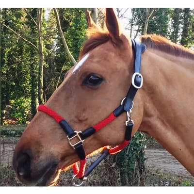 Paarden halster Cavaletti Tara