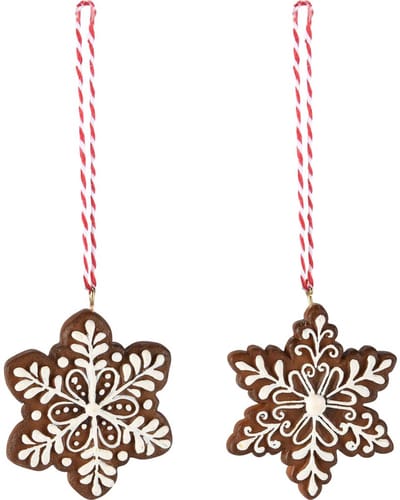 Dekoratief | Hanger sneeuwvlokje, bruin/wit, resina, 6x6x1cm, set van 2 stuks | A255735