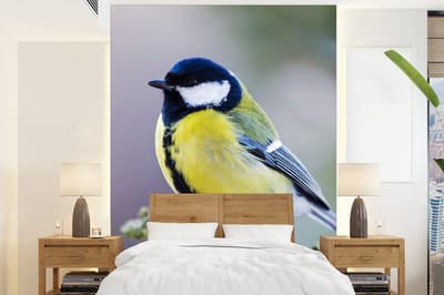 Behang - Fotobehang Koolmees - Vogel - Tak - Breedte 190 cm x hoogte 260 cm