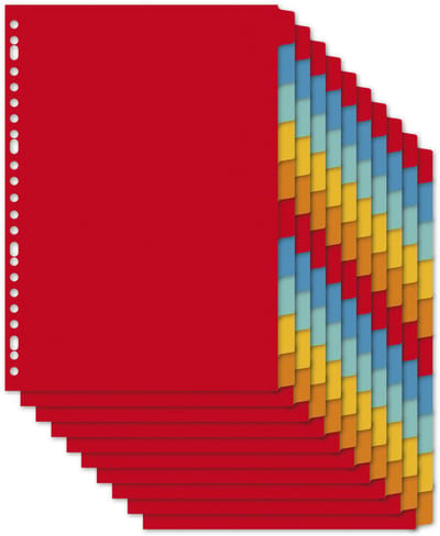 Kangaro tabbladen A4 - 10-delig - blanco tabs