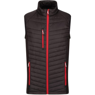 Regatta Heren Navigate Gewatteerd Hybride Gilet (Zwart/Klassiek Rood)