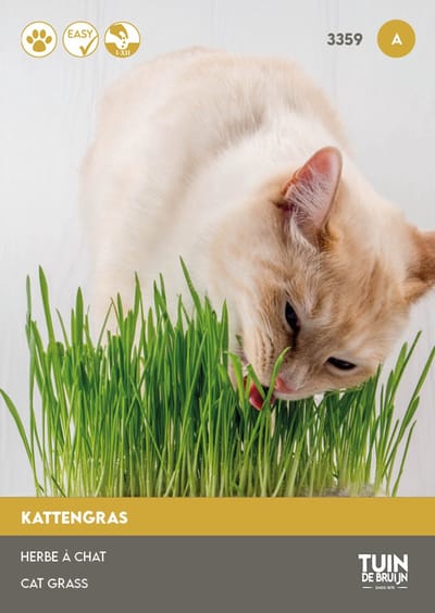 Kattengras Zaden – Kattegras om Zelf te Kweken – Gezond Gras voor Katten – 15 Gram - Tuin de Bruijn® zaden