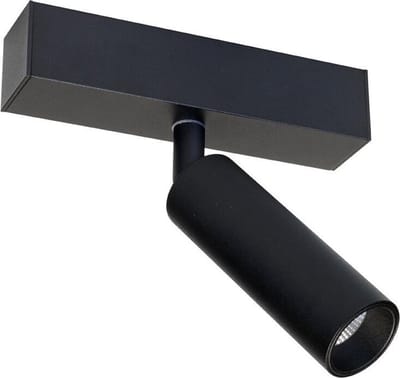 Berla exclusieve plafondlamp Zwart - Lamp - 2700K Verlichting binnen - LED verlichting - Sfeer verlichting incl. plafondplaat