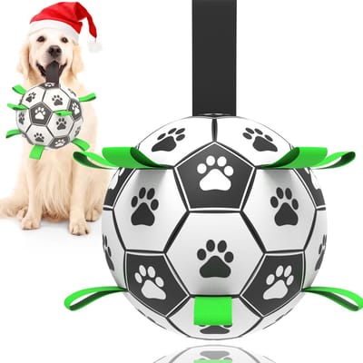 Ryoudavell - Voetbal voor Honden met Straps - Ø 15 cm - Onverwoestbare Hondenbal - Interactief Hondenspeelgoed - Slijtvast & Kauwbestendig - Waterpeelgoed & Drijfbal - Ideaal voor Puppy & Middelgrote Honden - Verjaardagscadeau Hond - Jolly Ball