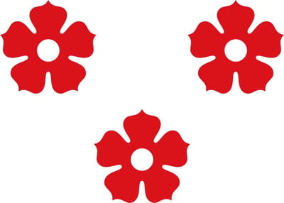 Vlag Ardooie 100x150cm