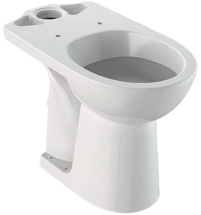 Geberit 300 Comfort duoblokpot verhoogd +6cm - diepspoel - zonder reservoir - 36x67cm PK - wit