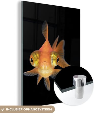 MuchoWow® Glasschilderij 120x160 cm - Schilderij acrylglas - Goudvis - Zeedieren - Ogen - Foto op glas - Schilderijen
