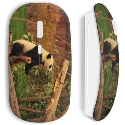 Souris Panda sans fil