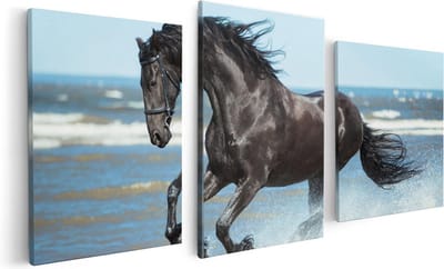 Artaza Canvas Schilderij Drieluik Zwart Paard In Het Water - 120x60 - Foto Op Canvas - Canvas Print
