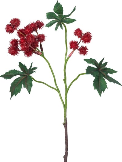 Easyplants | Kunsttak Ricinus 43 cm wijnrood | Zijde | Nepbloemen | rood | Onderhoudsvrij | Kant-en-klaar