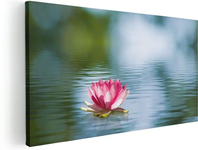Artaza Canvas Schilderij Waterlelie - 40x20 cm - Klein - Wanddecoratie Bloemen - Muurdecoratie Vijver - Schilderijen Op Canvas