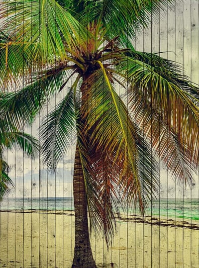 Fotobehang tahiti 3 DD113682 Livingwalls Walls by Patel | 3D Fotobehang op maat