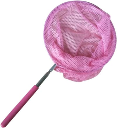 Vlindernet Uitschuifbaar - Insectennet Kinderen - Vogels Vangen - Telescopische Steel - 65 cm Uitschuifbaar - Kleurrijk