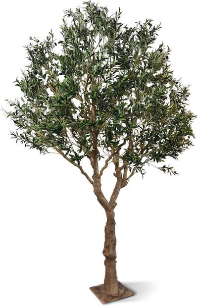 Kunst Olijfboom XL op plaat 300cm