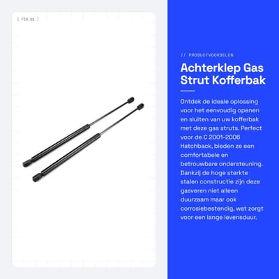 Dailygoods- Gasveer Achterklep 475mm - Staal - 2 Stuks - Corrosiebestendig - Eenvoudige Installatie - Compatibel met C 2001-2006 Hatchback - Kofferbakveer