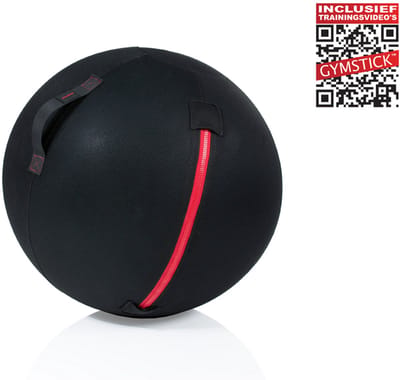 Gymstick Office Ball - 75 cm - Met Online Trainingsvideo's