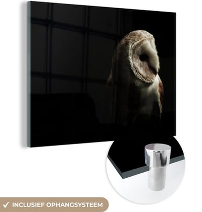 MuchoWow® Glasschilderij 120x90 cm - Schilderij acrylglas - Uil - Vogel - Portret - Foto op glas - Schilderijen