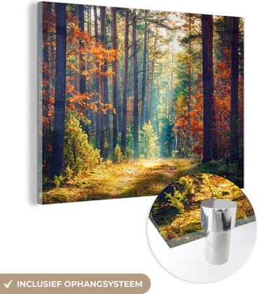 MuchoWow - Glasschilderij - Wanddecoratie - Bos - Bladeren - Natuur - Herfst - Foto op glas - Acrylglas - Schilderij glas - 160x120 cm - Glasschilderij natuur - Muurdecoratie - Schilderijen woonkamer