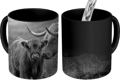Magische Mok - Foto op Warmte Mokken - Koffiemok - Schotse hooglander - Kalf - Zwart - Wit - Magic Mok - Beker - 350 ML - Theemok