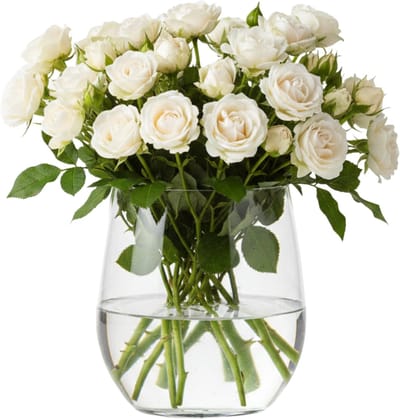 Hakbijl Glass Vaas Tony - transparant - 19 x 15 cm - glas - home-basics - bloemen vazen