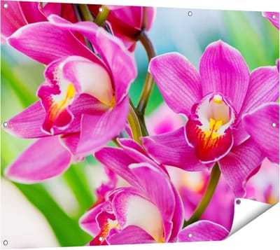 Gards Tuinposter Licht Paarse Orchidee Bloemen - 120x90 cm - Tuindoek - Tuindecoratie - Wanddecoratie buiten - Tuinschilderij