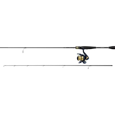 Daiwa Rs762mhfsaf+rs2500 Draaiende Combo Goud 2.29 m / 7-28 g
