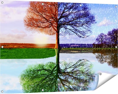 Gards Tuinposter Vier Seizoenen Boom - 120x80 cm - Tuindoek - Tuindecoratie - Wanddecoratie buiten - Tuinschilderij