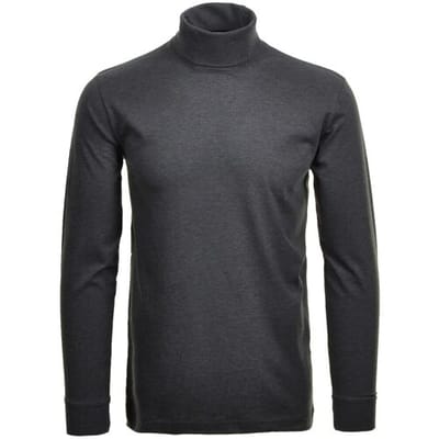 Ragman Long Sleeve Uni Col T-Shirt Single Jersey Antraciet / male