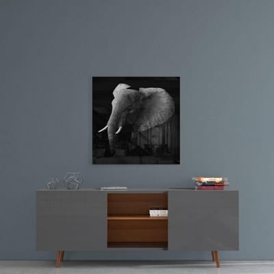 Insigne Glazen Schilderijen - Olifant glasschilderij - Dieren -  80×80 cm - 4 mm