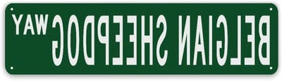 Gepersonaliseerd Naambord - Huisnummer Bord - Decoratie Huis - Aanpasbaar Ontwerp - 30 x 76 cm - Stijl-3